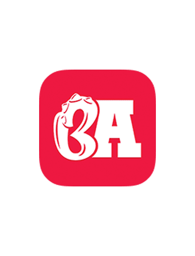 ba-inspiration-image-04